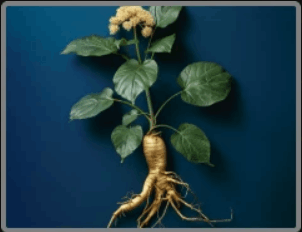ingredient3